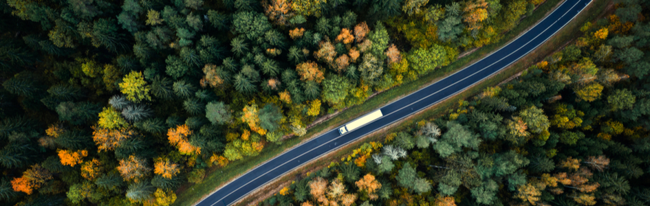 Climate Action & Environmental Impact