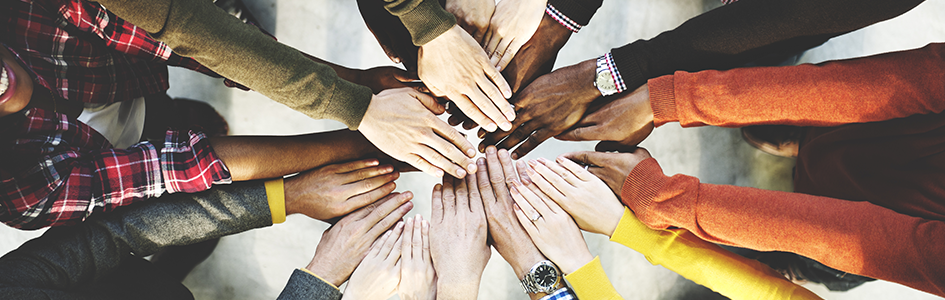 Taking Steps to Support and Grow Our Local and Global Community.